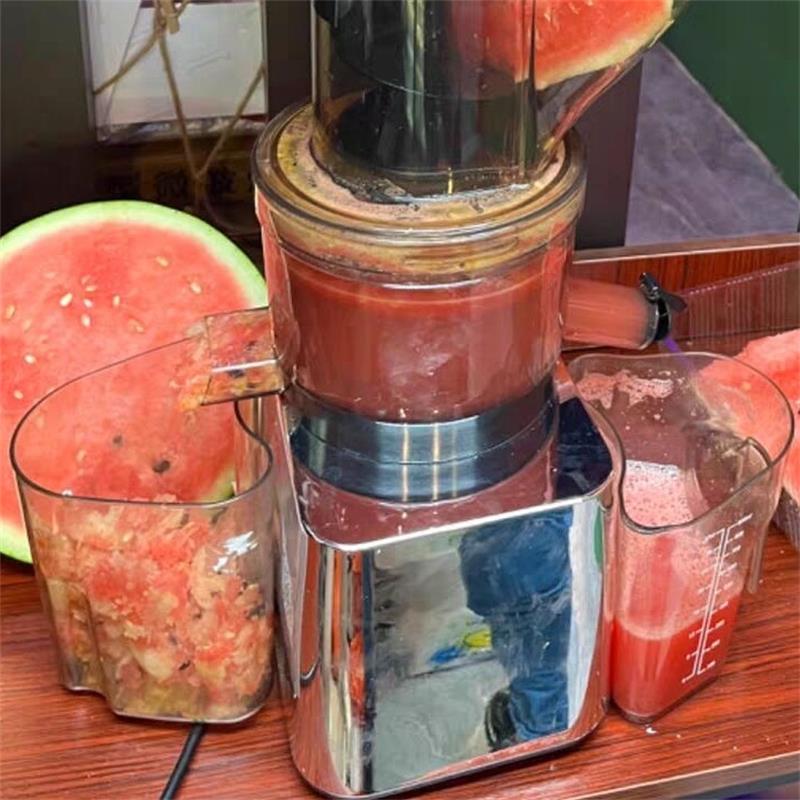 Juicer Cold Press Slow - 500W業務用家庭用低速咀嚼式ジュース抽出器大口径コールドプレスジューサーマシン